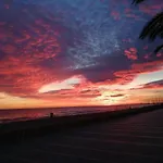 Espriu 2